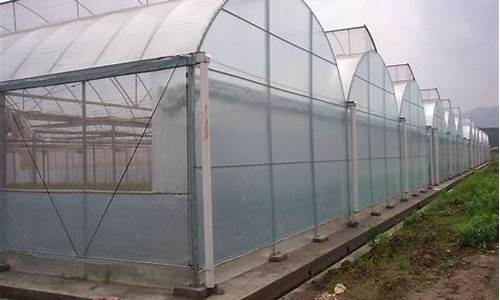 12米宽大棚薄膜价格表(蔬菜大棚造价明细)_https://www.jumanxin.com_北交所_第1张
