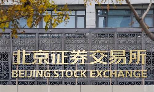 北交所证券交易所申购(北交所证券交易所申购规则)_https://www.jumanxin.com_上交所_第1张