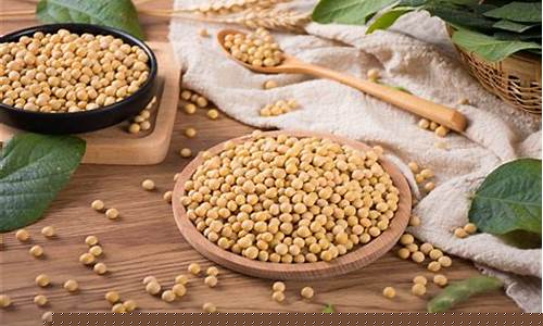 大豆期货直播在线(大豆期货直播在线观看)_https://www.jumanxin.com_科创板_第1张