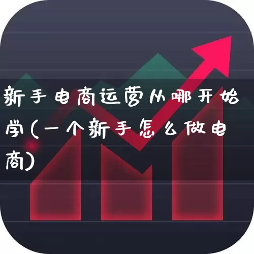 新手电商运营从哪开始学(一个新手怎么做电商)_https://www.jumanxin.com_上交所_第1张