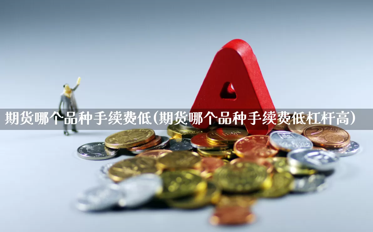 期货哪个品种手续费低(期货哪个品种手续费低杠杆高)_https://www.jumanxin.com_深交所_第1张