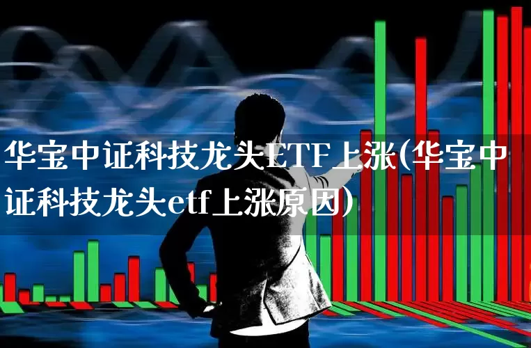 华宝中证科技龙头ETF上涨(华宝中证科技龙头etf上涨原因)_https://www.jumanxin.com_深交所_第1张