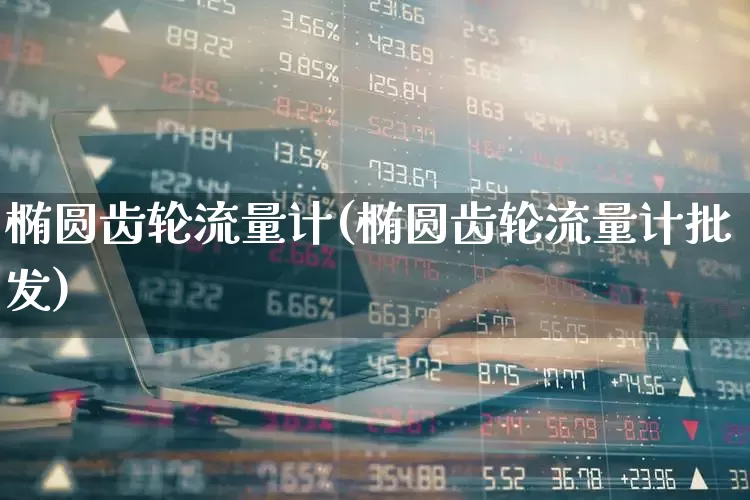椭圆齿轮流量计(椭圆齿轮流量计批发)_https://www.jumanxin.com_北交所_第1张