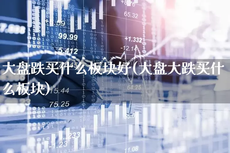 大盘跌买什么板块好(大盘大跌买什么板块)_https://www.jumanxin.com_上交所_第1张