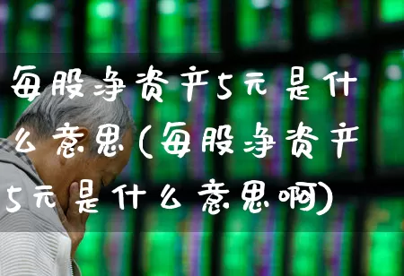 每股净资产5元是什么意思(每股净资产5元是什么意思啊)_https://www.jumanxin.com_创业板_第1张