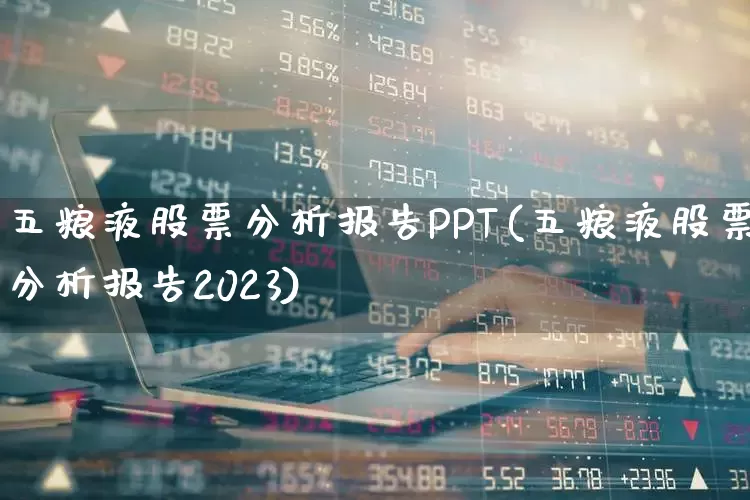五粮液股票分析报告PPT(五粮液股票分析报告2023)_https://www.jumanxin.com_创业板_第1张