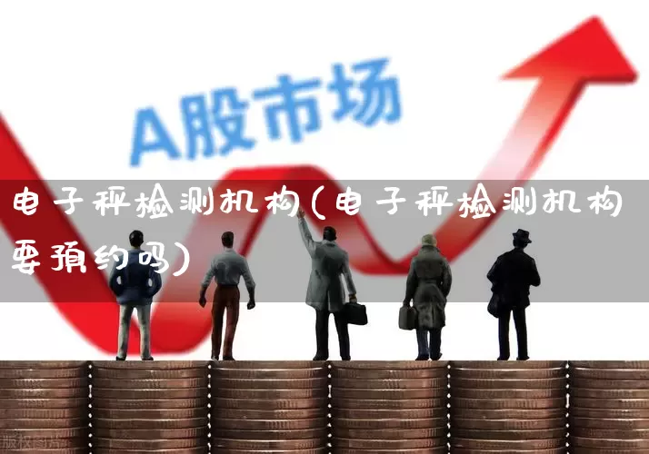 电子秤检测机构(电子秤检测机构要预约吗)_https://www.jumanxin.com_科创板_第1张