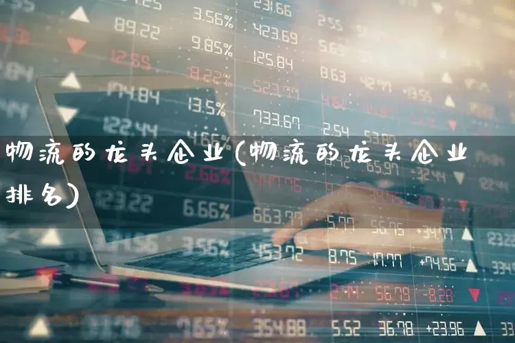 物流的龙头企业(物流的龙头企业排名)_https://www.jumanxin.com_科创板_第1张