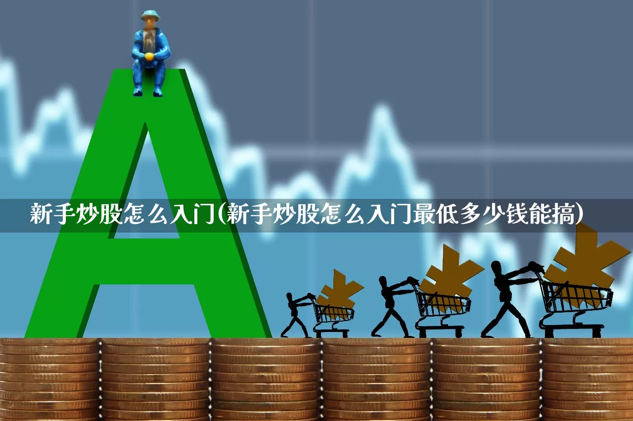 新手炒股怎么入门(新手炒股怎么入门最低多少钱能搞)_https://www.jumanxin.com_科创板_第1张