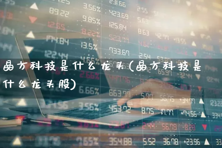 晶方科技是什么龙头(晶方科技是什么龙头股)_https://www.jumanxin.com_上交所_第1张