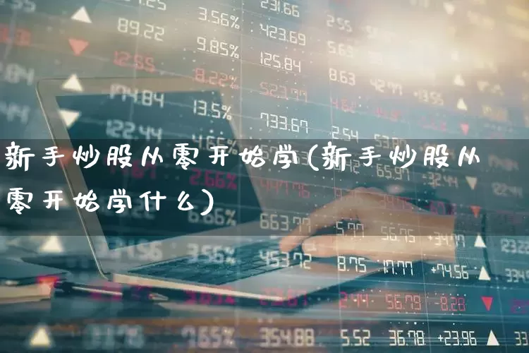 新手炒股从零开始学(新手炒股从零开始学什么)_https://www.jumanxin.com_上交所_第1张