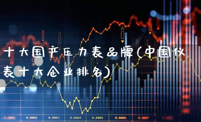十大国产压力表品牌(中国仪表十大企业排名)_https://www.jumanxin.com_创业板_第1张