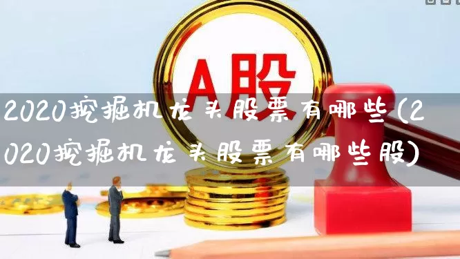2020挖掘机龙头股票有哪些(2020挖掘机龙头股票有哪些股)_https://www.jumanxin.com_深交所_第1张