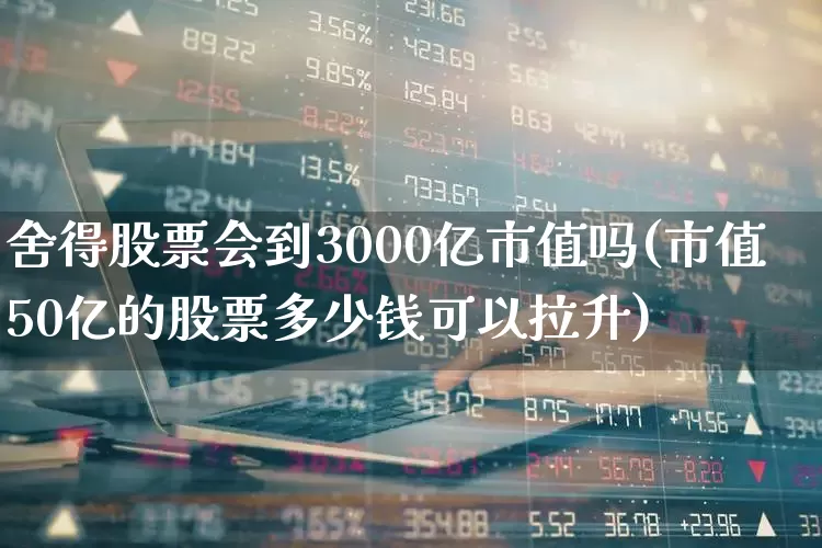 舍得股票会到3000亿市值吗(市值50亿的股票多少钱可以拉升)_https://www.jumanxin.com_创业板_第1张