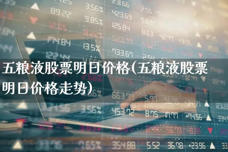 五粮液股票明日价格(五粮液股票明日价格走势)_https://www.jumanxin.com_北交所_第1张