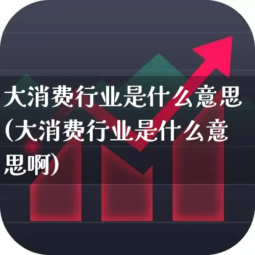 大消费行业是什么意思(大消费行业是什么意思啊)_https://www.jumanxin.com_北交所_第1张