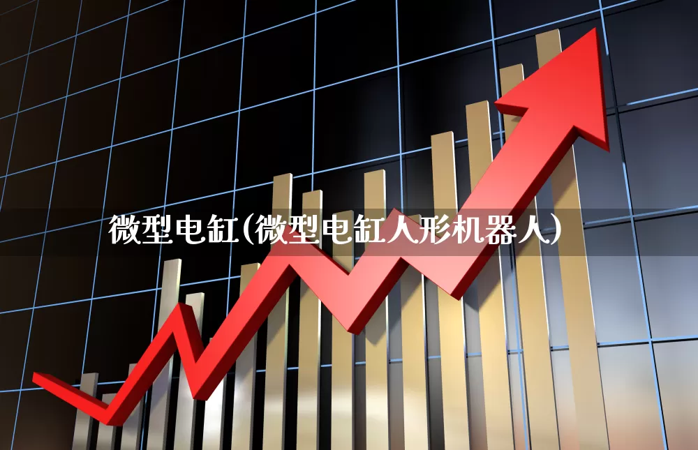 微型电缸(微型电缸人形机器人)_https://www.jumanxin.com_深交所_第1张