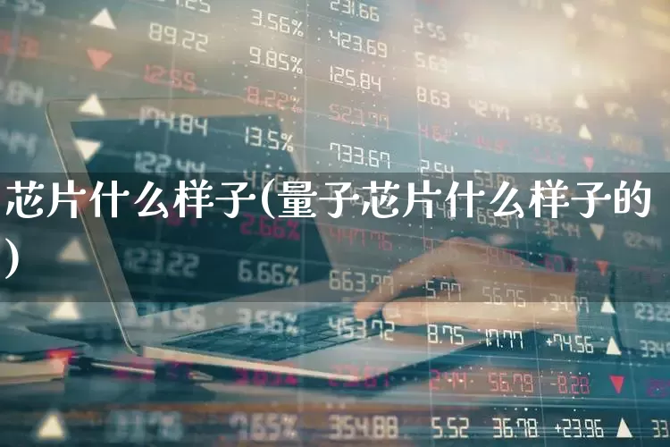 芯片什么样子(量子芯片什么样子的)_https://www.jumanxin.com_深交所_第1张