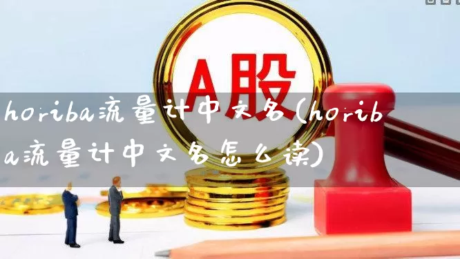 horiba流量计中文名(horiba流量计中文名怎么读)_https://www.jumanxin.com_创业板_第1张