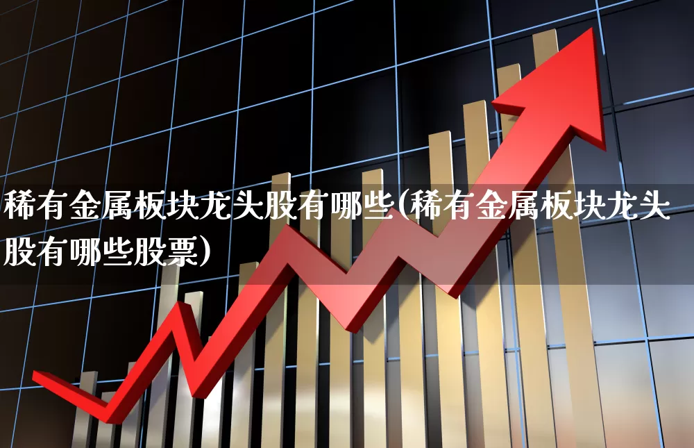 稀有金属板块龙头股有哪些(稀有金属板块龙头股有哪些股票)_https://www.jumanxin.com_创业板_第1张