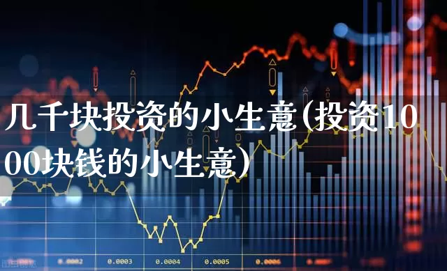 几千块投资的小生意(投资1000块钱的小生意)_https://www.jumanxin.com_上交所_第1张