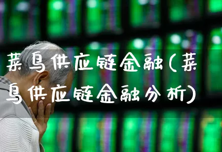 菜鸟供应链金融(菜鸟供应链金融分析)_https://www.jumanxin.com_科创板_第1张