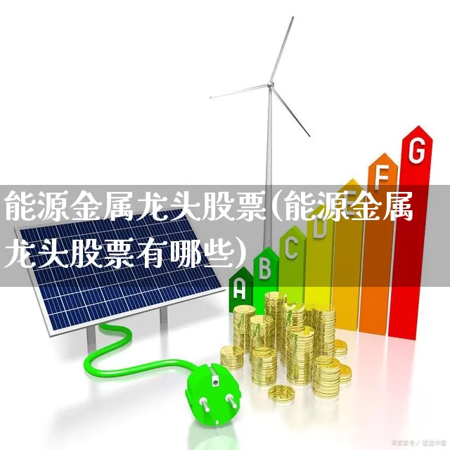 能源金属龙头股票(能源金属龙头股票有哪些)_https://www.jumanxin.com_深交所_第1张