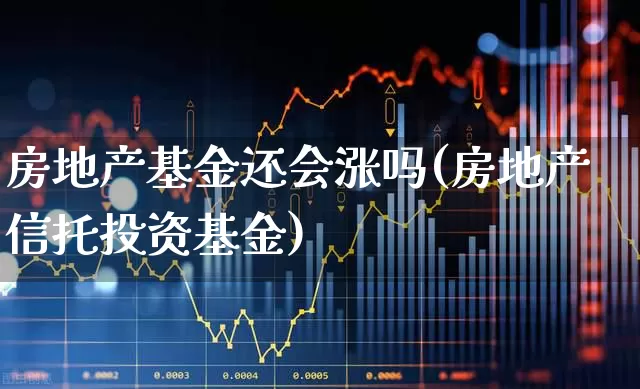 房地产基金还会涨吗(房地产信托投资基金)_https://www.jumanxin.com_深交所_第1张