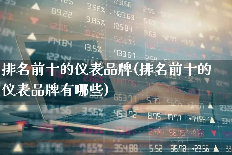 排名前十的仪表品牌(排名前十的仪表品牌有哪些)_https://www.jumanxin.com_深交所_第1张