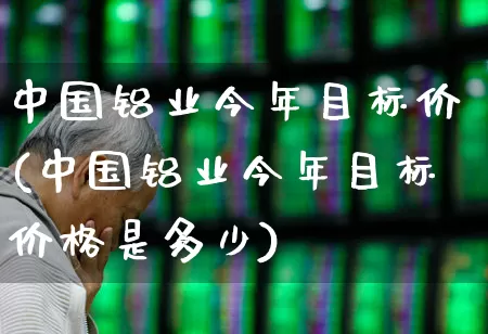 中国铝业今年目标价(中国铝业今年目标价格是多少)_https://www.jumanxin.com_创业板_第1张