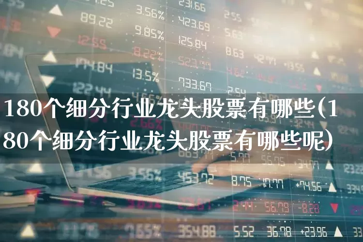 180个细分行业龙头股票有哪些(180个细分行业龙头股票有哪些呢)_https://www.jumanxin.com_北交所_第1张
