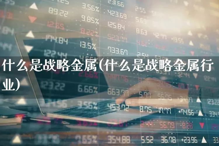 什么是战略金属(什么是战略金属行业)_https://www.jumanxin.com_科创板_第1张