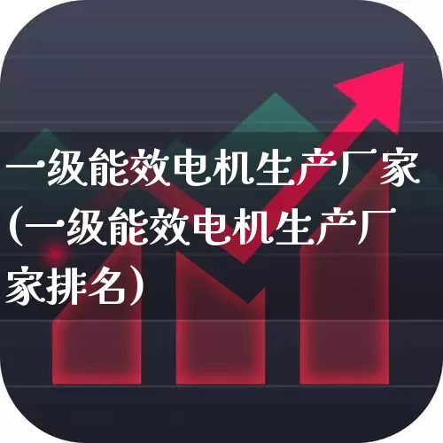 一级能效电机生产厂家(一级能效电机生产厂家排名)_https://www.jumanxin.com_北交所_第1张