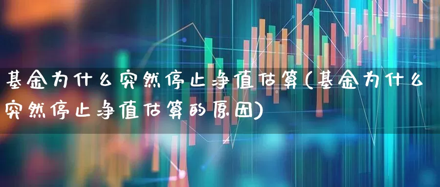 基金为什么突然停止净值估算(基金为什么突然停止净值估算的原因)_https://www.jumanxin.com_上交所_第1张