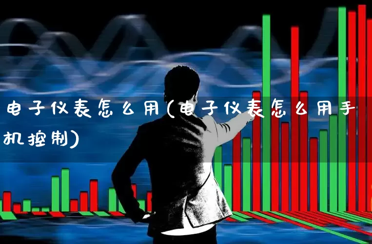 电子仪表怎么用(电子仪表怎么用手机控制)_https://www.jumanxin.com_北交所_第1张