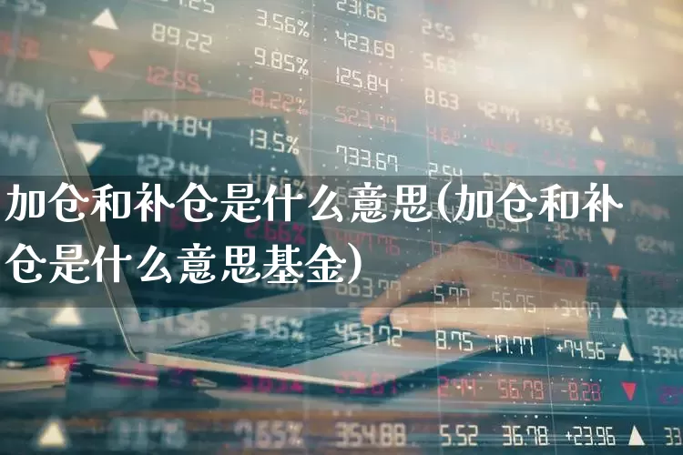 加仓和补仓是什么意思(加仓和补仓是什么意思基金)_https://www.jumanxin.com_上交所_第1张