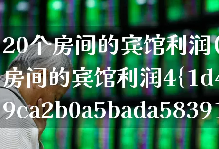 20个房间的宾馆利润(20个房间的宾馆利润4%)_https://www.jumanxin.com_北交所_第1张