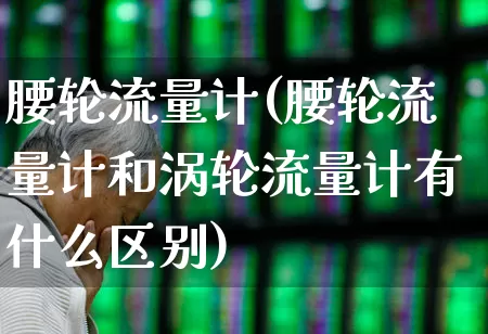 腰轮流量计(腰轮流量计和涡轮流量计有什么区别)_https://www.jumanxin.com_上交所_第1张
