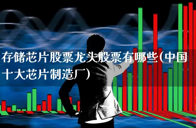 存储芯片股票龙头股票有哪些(中国十大芯片制造厂)_https://www.jumanxin.com_创业板_第1张