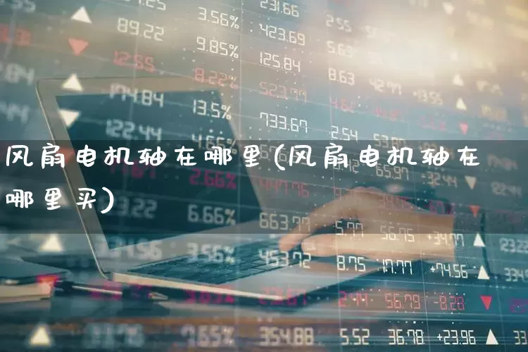 风扇电机轴在哪里(风扇电机轴在哪里买)_https://www.jumanxin.com_北交所_第1张