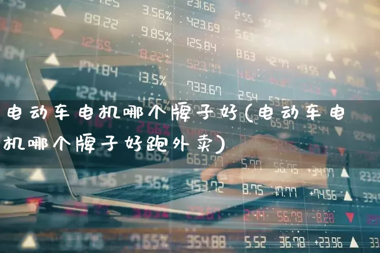 电动车电机哪个牌子好(电动车电机哪个牌子好跑外卖)_https://www.jumanxin.com_深交所_第1张
