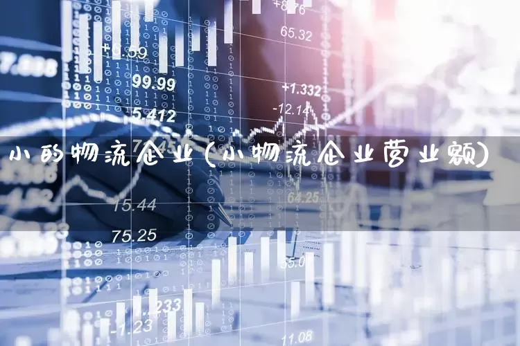 小的物流企业(小物流企业营业额)_https://www.jumanxin.com_北交所_第1张