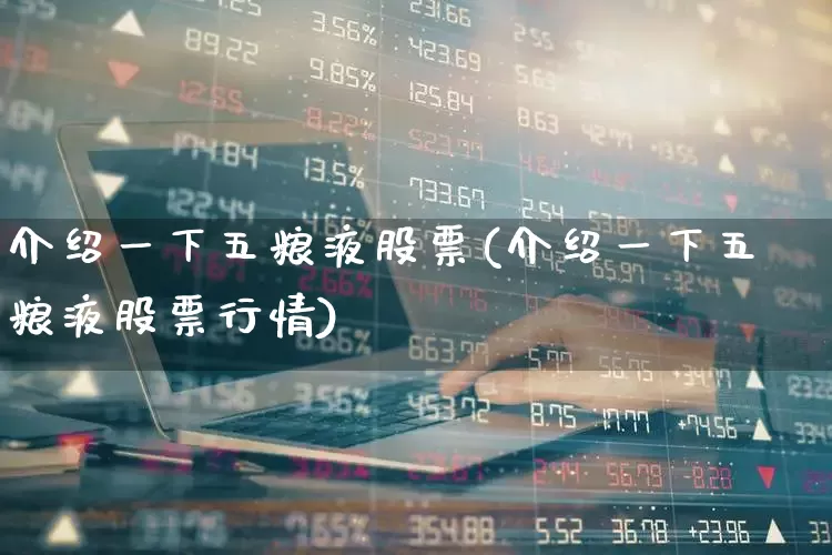 介绍一下五粮液股票(介绍一下五粮液股票行情)_https://www.jumanxin.com_创业板_第1张