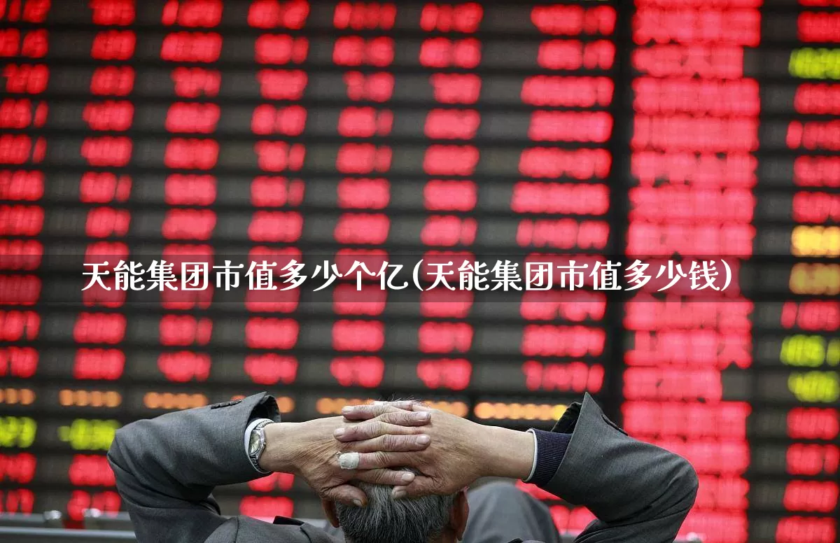 天能集团市值多少个亿(天能集团市值多少钱)_https://www.jumanxin.com_深交所_第1张