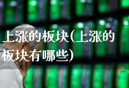 上涨的板块(上涨的板块有哪些)_https://www.jumanxin.com_深交所_第1张