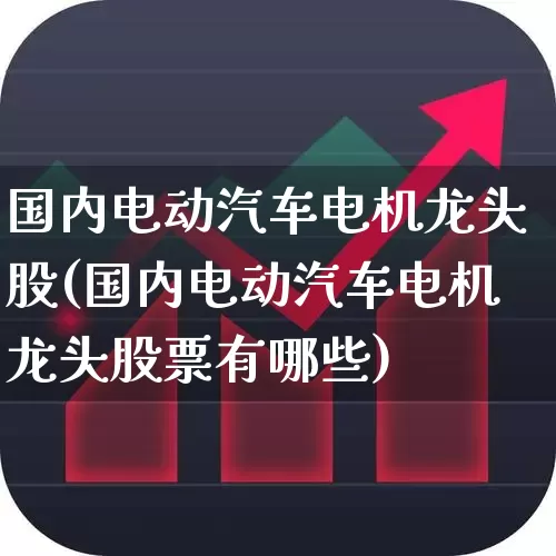 国内电动汽车电机龙头股(国内电动汽车电机龙头股票有哪些)_https://www.jumanxin.com_北交所_第1张