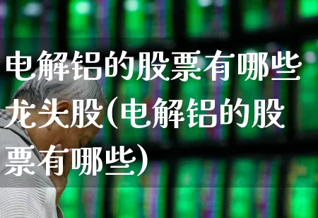 电解铝的股票有哪些龙头股(电解铝的股票有哪些)_https://www.jumanxin.com_科创板_第1张