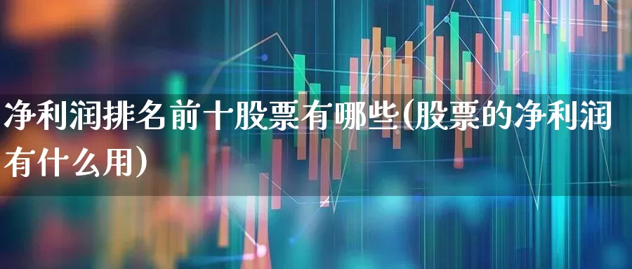 净利润排名前十股票有哪些(股票的净利润有什么用)_https://www.jumanxin.com_北交所_第1张