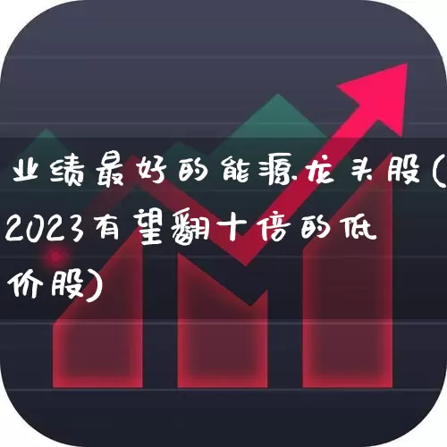 业绩最好的能源龙头股(2023有望翻十倍的低价股)_https://www.jumanxin.com_科创板_第1张