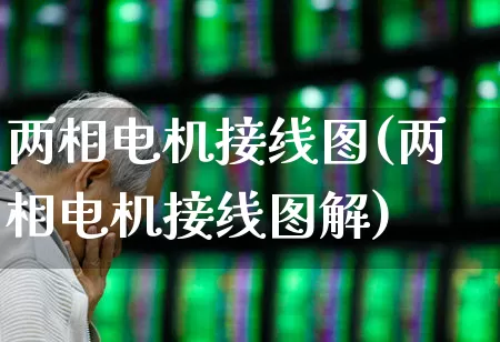 两相电机接线图(两相电机接线图解)_https://www.jumanxin.com_北交所_第1张
